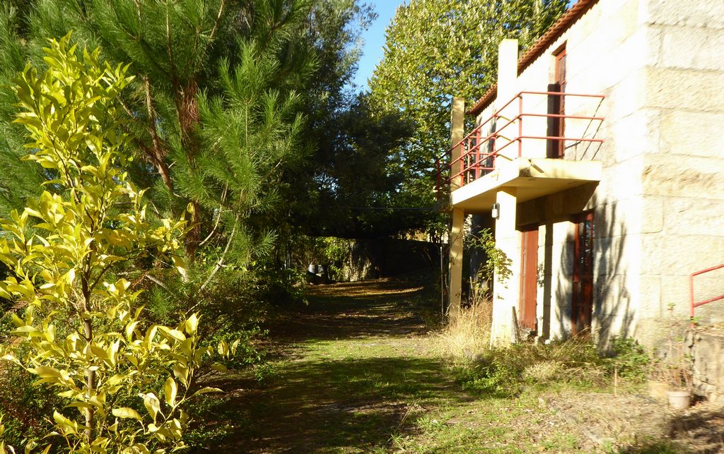 Quinta